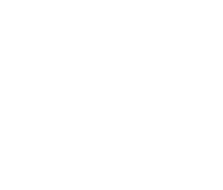 logo-alisa-blanc logo-alisa-blanc