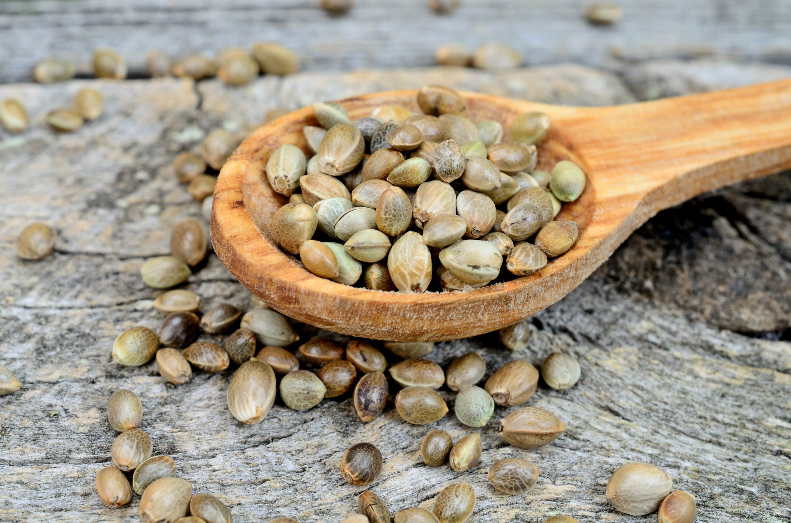 Hemp,Seed,In,Spoon,On,Wooden,Table