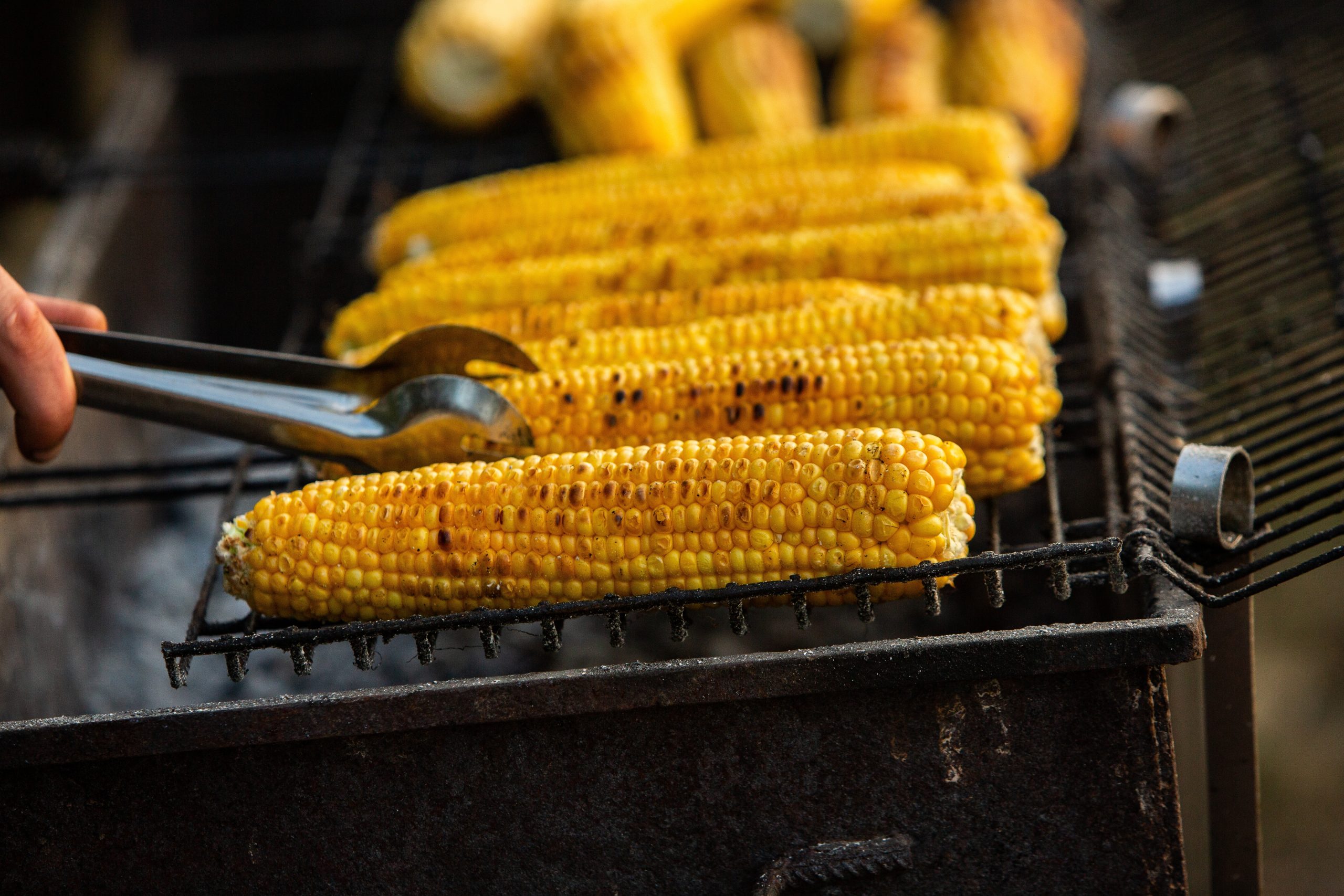 Fresh,Roasted,Or,Grilled,Corncobs.,Grilled,Corn,For,Sale,On Fresh,Roasted,Or,Grilled,Corncobs.,Grilled,Corn,For,Sale,On