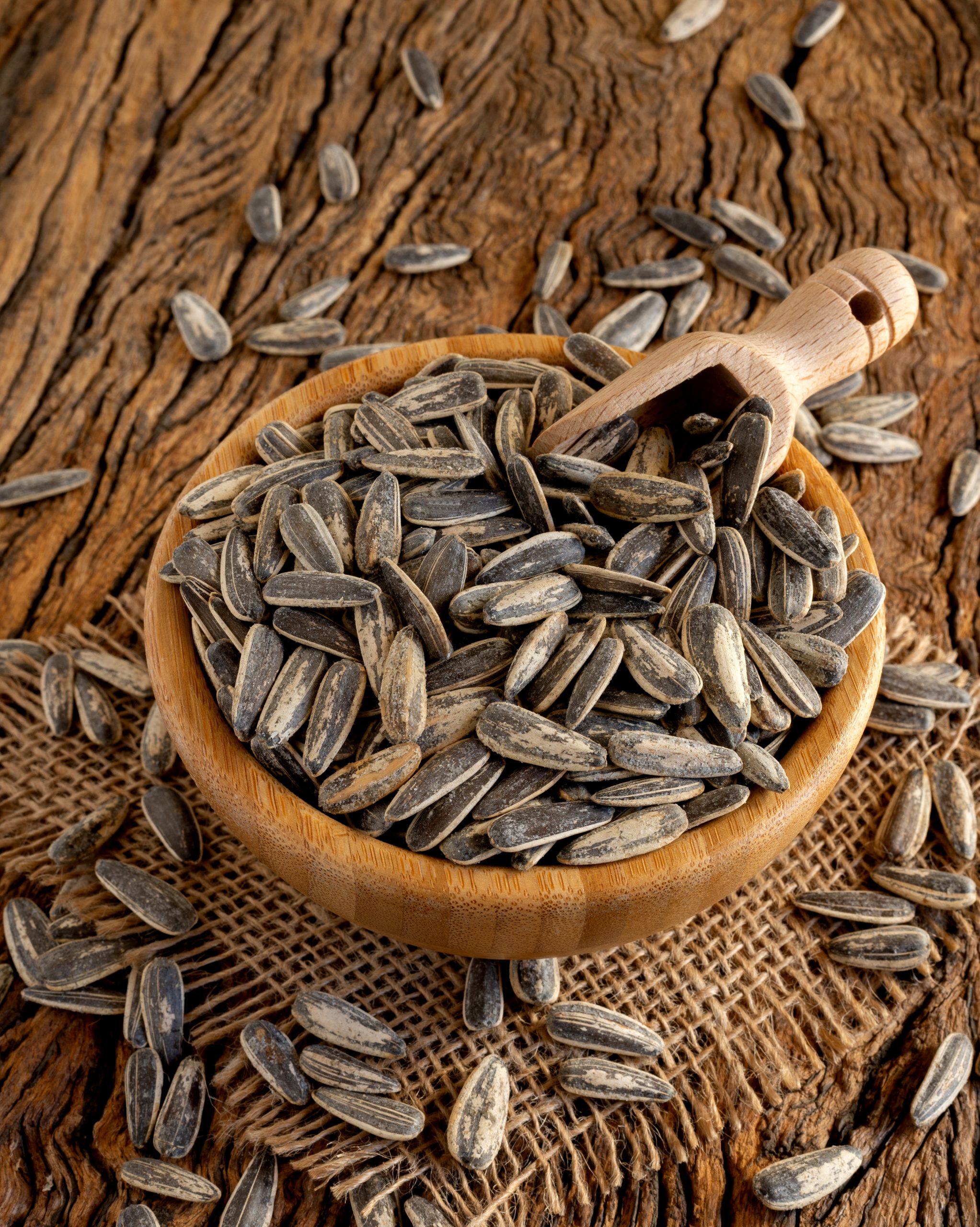 Top,View,Unpeeled,Sunflowers,Seeds,Salted,Sunflower,Seeds,On,Old Top,View,Unpeeled,Sunflowers,Seeds,Salted,Sunflower,Seeds,On,Old