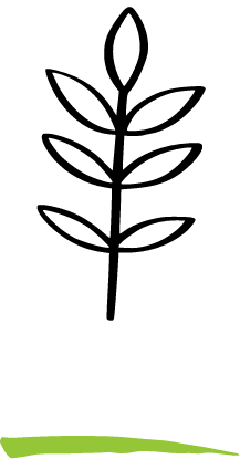 picto-sansgluten