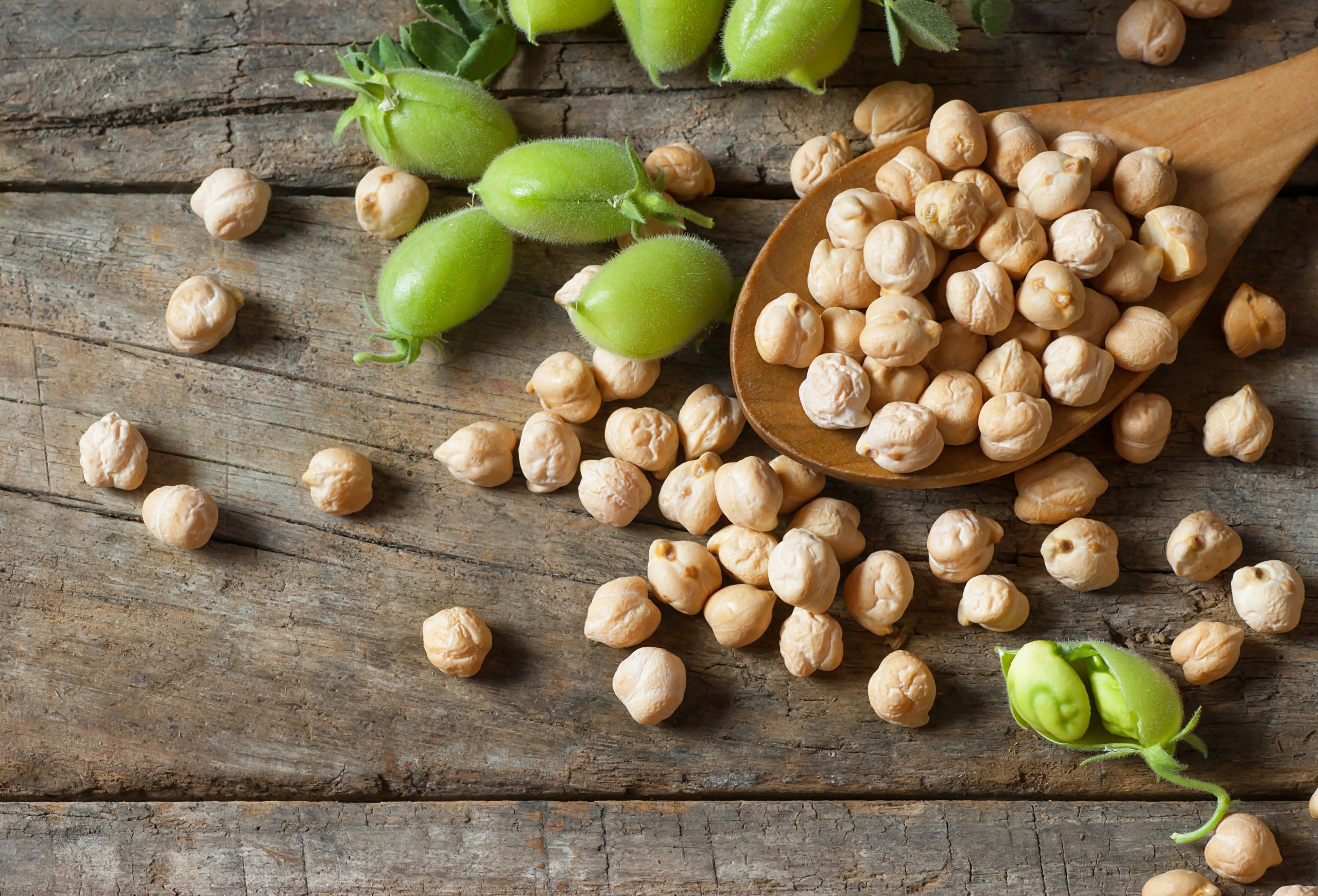 Uncooked,Dried,Chickpeas,In,Wooden,Spoon,With,Raw,Green,Chickpea Uncooked,Dried,Chickpeas,In,Wooden,Spoon,With,Raw,Green,Chickpea