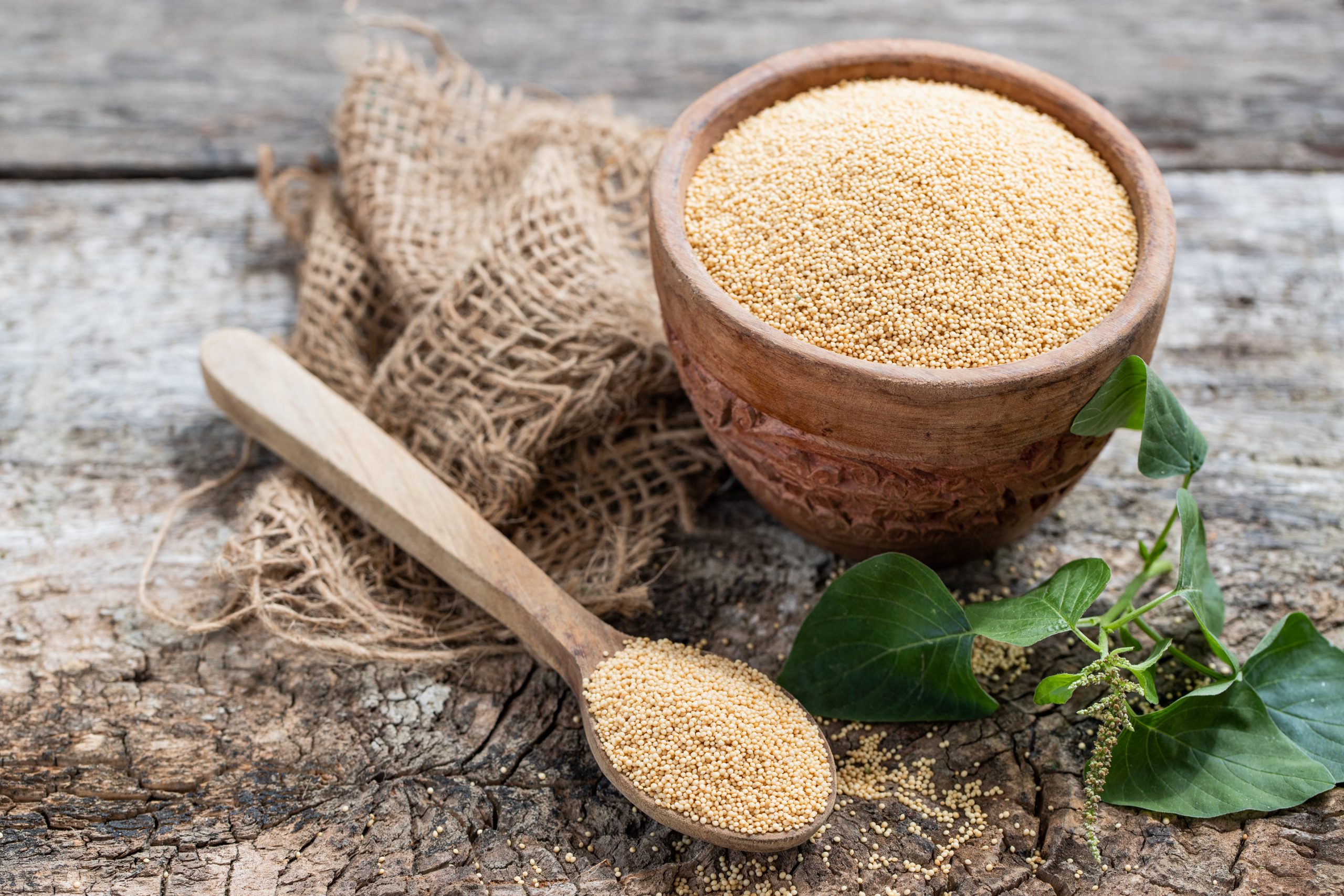 Raw,Organic,Amaranth,Grain,In,A,Bowl,Witn,Wooden,Spoon Raw,Organic,Amaranth,Grain,In,A,Bowl,Witn,Wooden,Spoon