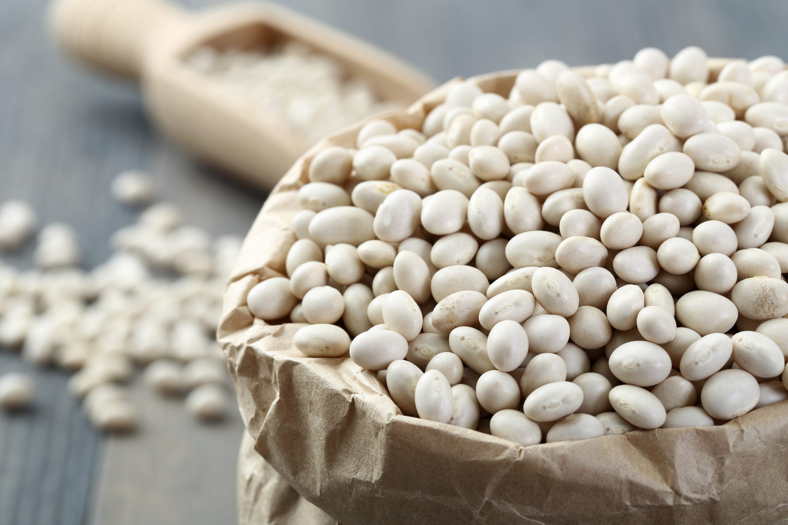White,Beans